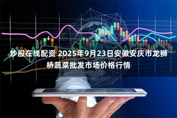 炒股在线配资 2025年9月23日安徽安庆市龙狮桥蔬菜批发市场价格行情