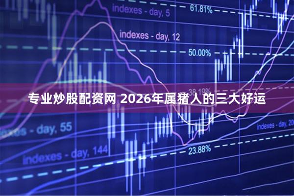 专业炒股配资网 2026年属猪人的三大好运