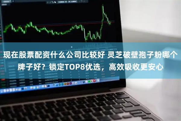 现在股票配资什么公司比较好 灵芝破壁孢子粉哪个牌子好?锁定TOP8优选,高效吸收更安心